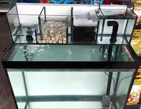 ???????????????? 24 ??????????????? ????????????