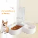 Chang ???????? ??????? ??????????????????? ????????????????? 2in1 ?????????? ??????????? Pet bowl