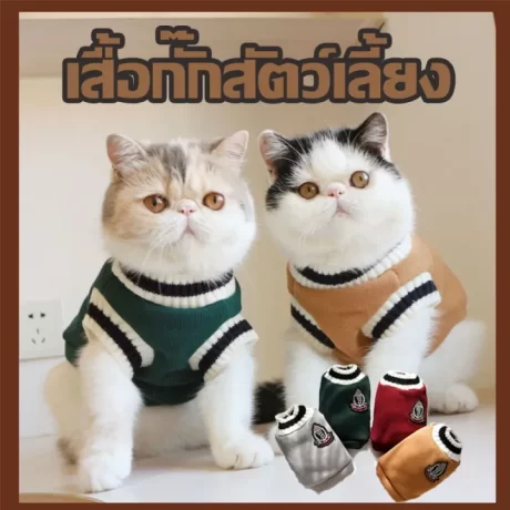 ?The whisper???????????????????????? ???????????? ???????????? ????????? ????????? ???? ???????? ???????????? ??? ???????