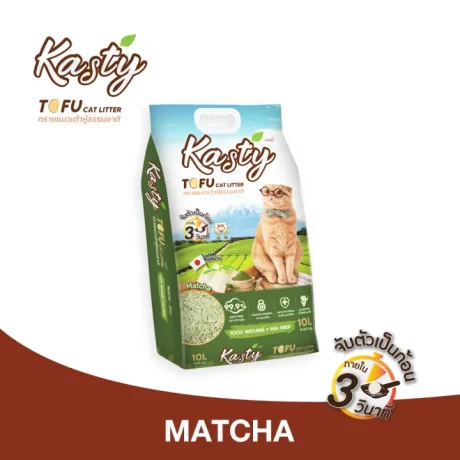 Kasty Tofu Litter Matcha Scen