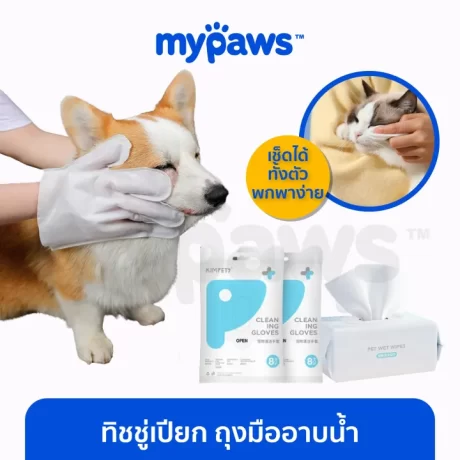 My Paws ??????????? ???????????? Kimpets ????????????????????? ???????????????????? ????????????????????
