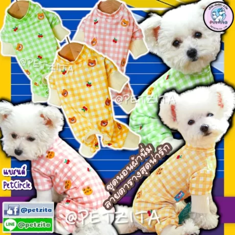 🇹🇭????????🇹🇭 ????????????????? 🇰🇷 ????????????????????????? 🌟????????????? ??????????? ???????? ???????? ????????????