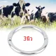 Cow nose ring, genuine stainless steel cow nose ring🐄🐄 ☑️3 inches, ring for wearing the nose of cows, cattle, buffaloes, express delivery from Thailand.