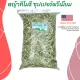 หญ้าทิมโมธี หญ้าทิโมธี ซุปเปอร์พรีเมียม ร่อนฝุ่น ดอกเยอะ 1 kg