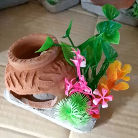 ?????????????????? ????????????