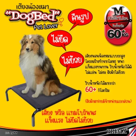 Elevated Dog Bed ????????????????????? ????????? ?????????????? ??????????? ????????????????? ????????? ????????